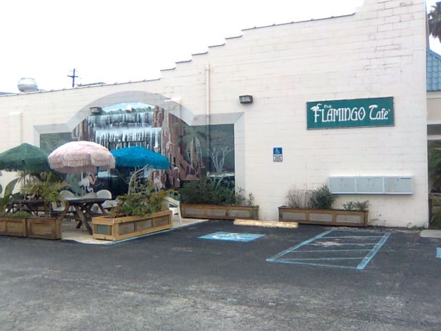 flamingo21