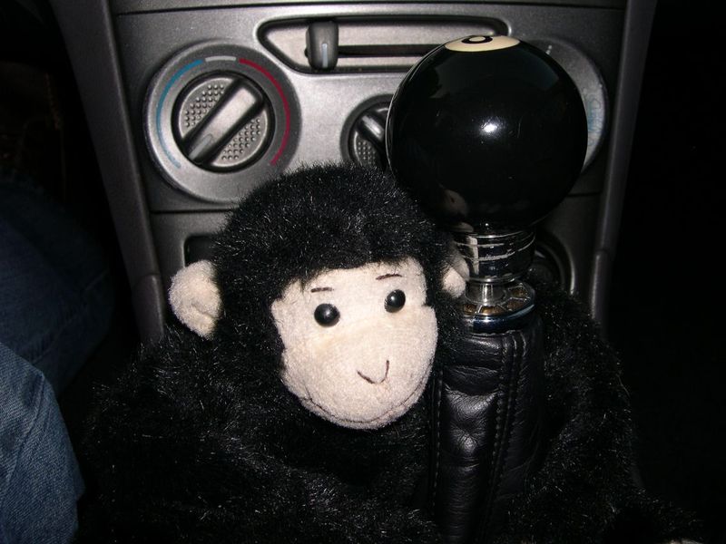 aguila-monkey aguila-monkey