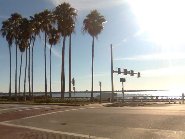 daily-florida
