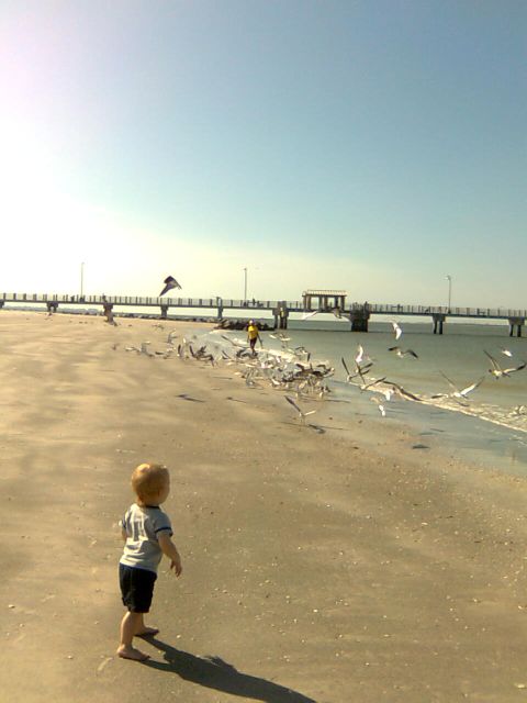 skyway-beach skyway-beach