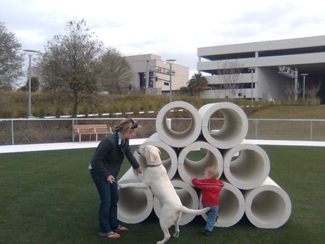 park-dog2 park-dog2