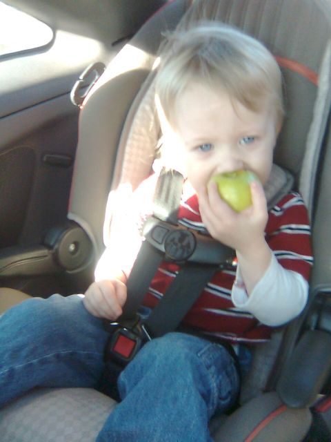 lennys-apple