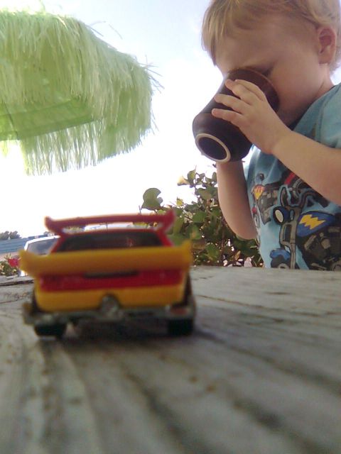 flamingo-coffee-car
