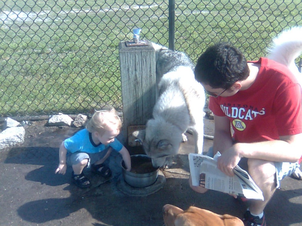 marek-dogpark-080