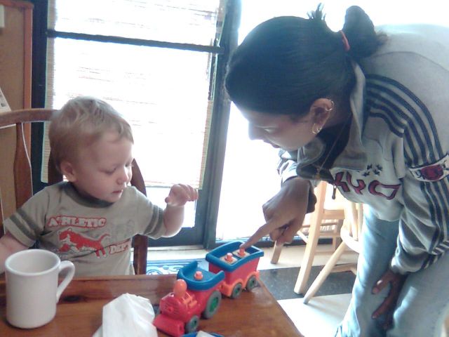 lutz-train1 lutz-train1