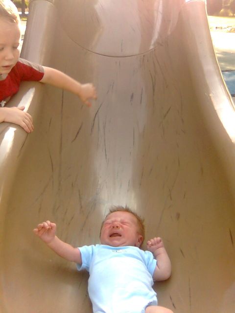 ivo-slide1