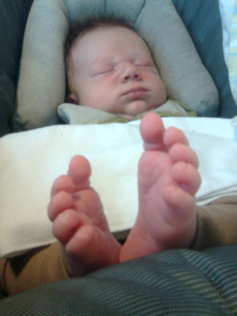 pine-ivo-feet