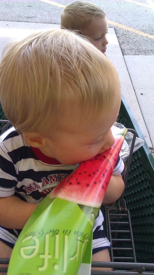 als-15-ivo-watermelon
