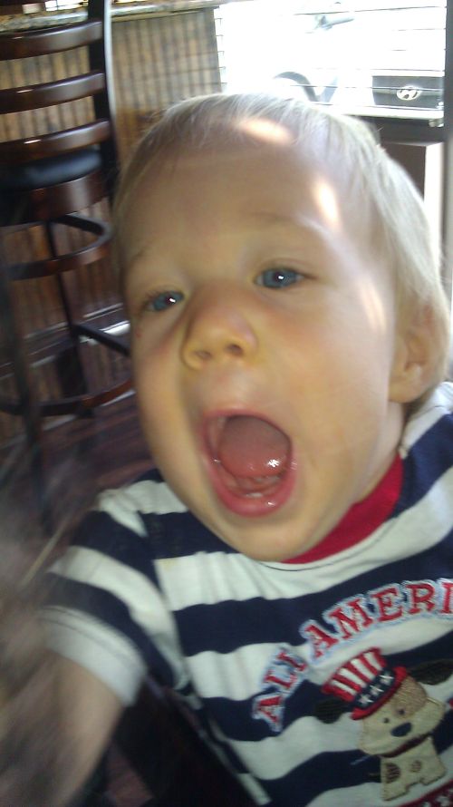 als-ivo-crazy