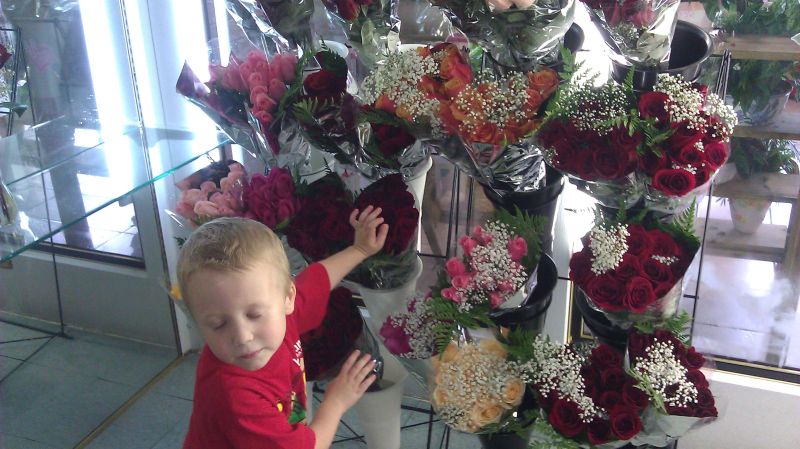 show-26-flowers