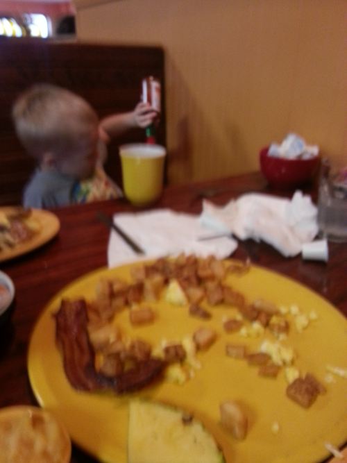 eggs18